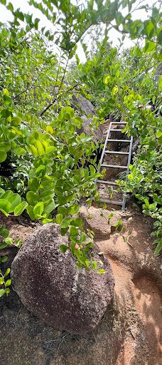 Nid d'Aigl-拉迪格