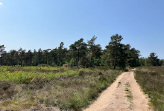Kroondomein Het Loo景点图片