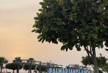 Al Marjan Island Playground景点图片