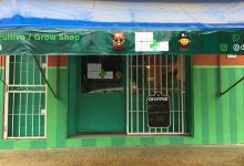 Don cactus grow Shop Laferrere购物图片
