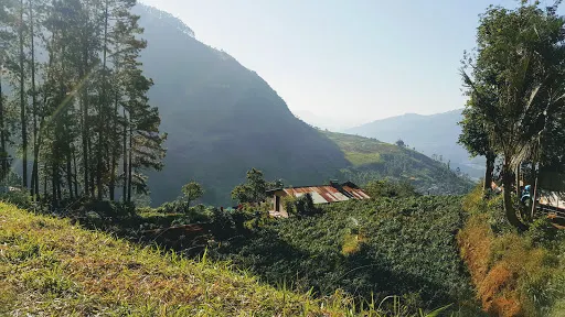 Palagolla Temple
