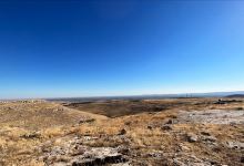 Harran Ovası景点图片