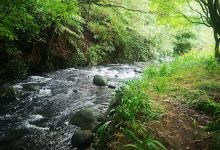 Waihi Camp and Cabins购物图片