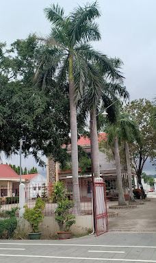 Nhà Thờ Giáo Xứ Hải Sơn-富美市社