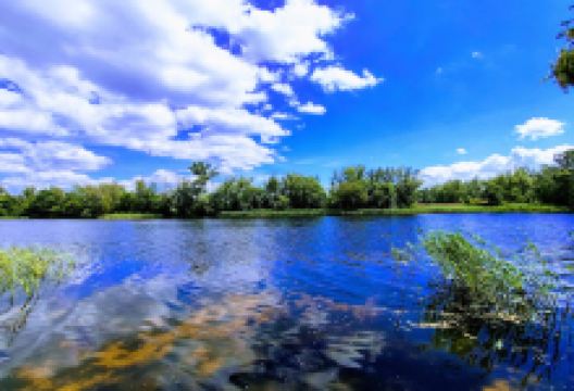 Kyrovskoe Les景点图片