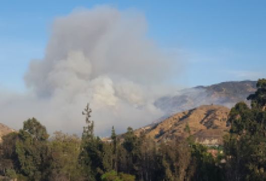 Susanna Bixby Bryant Museum and Botanic Garden景点图片