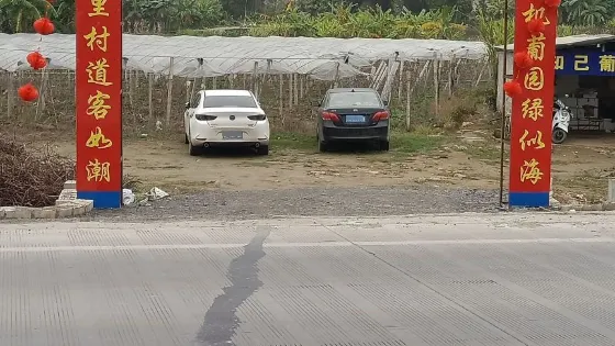 知己葡萄園