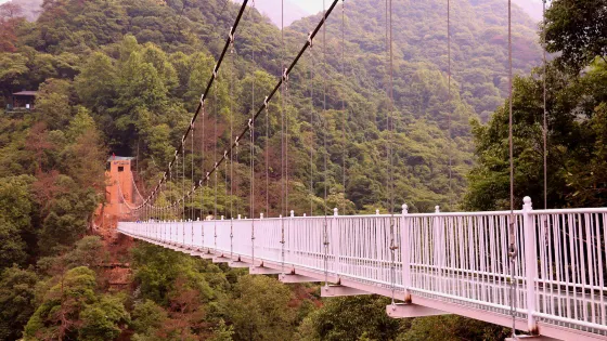 醉山野黃崖大峽谷-玻璃天橋