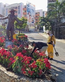 Caleta Valdés-别德马