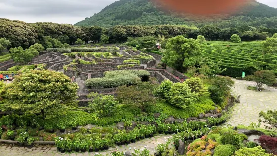 MAZE樂園