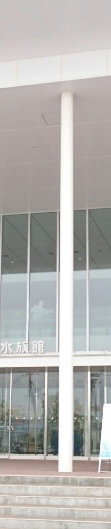 仙台海洋森林水族馆-仙台