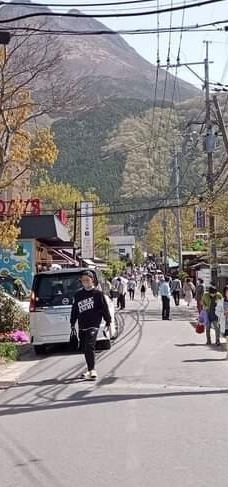 汤之坪街道-由布市
