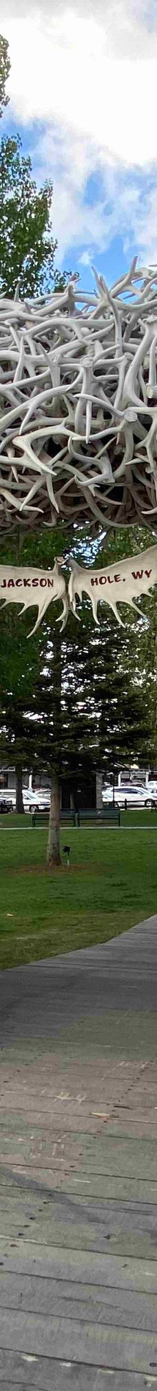 杰克逊鹿角公园-杰克逊