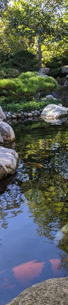 Japanese Friendship Garden & Museum-圣地亚哥