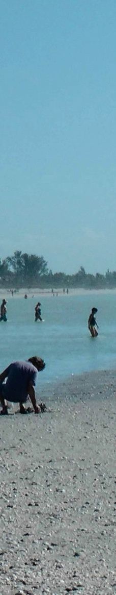 Bowman's Beach-萨尼贝尔