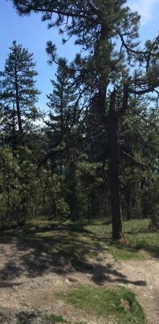 Tubbs Hill-科达伦