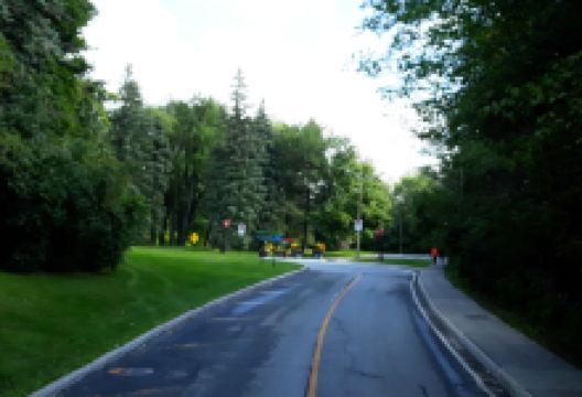 Mont (Mount) Royal Cemetery景点图片