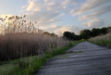Carol H Sweet Nature Center景点图片