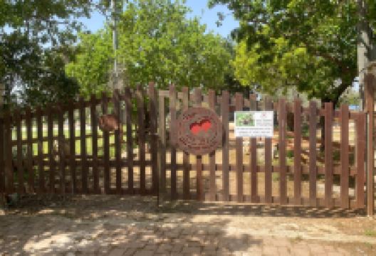 Kfar Kedem景点图片