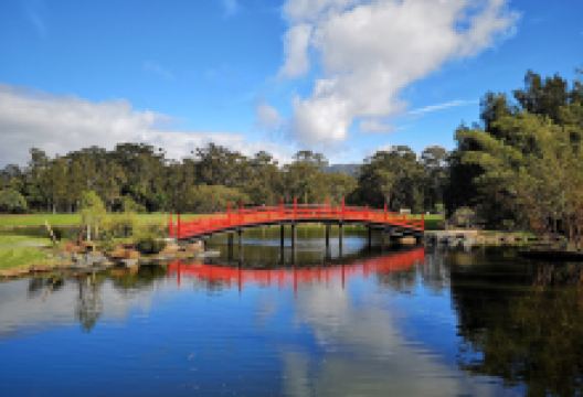 North Coast Regional Botanic Garden景点图片