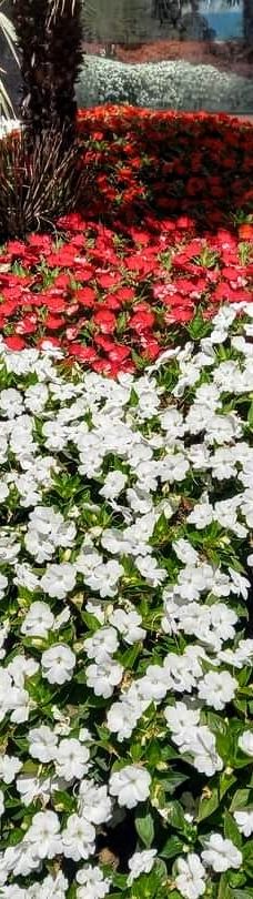 Paseo Maritimo de Estepona-埃斯特波纳