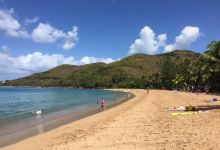Plage de Grande Anse景点图片