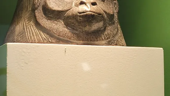 Museo Regional de Antropologia Carlos Pellicer Camara
