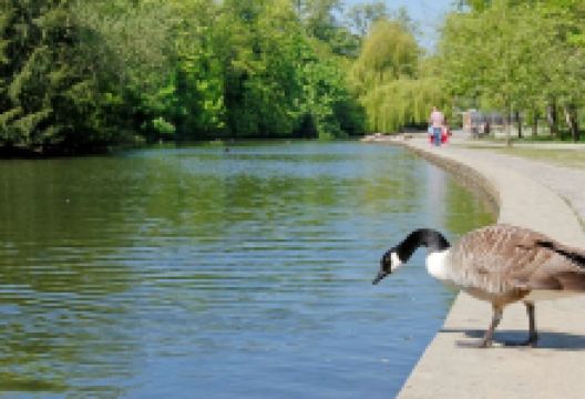 Thornes Park景点图片