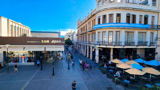 Calle Peatonal La Florida