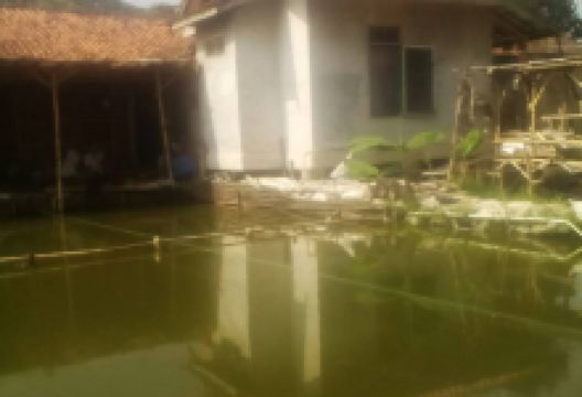 Pemancingan Mang Iing景点图片