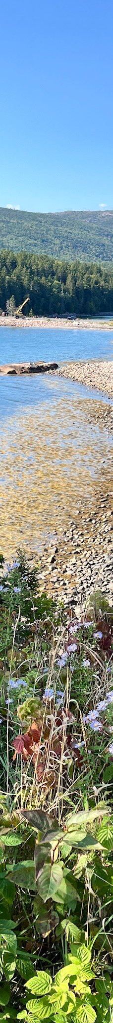 阿科底亚国家公园-沙山