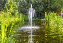 Kurgarten景点图片