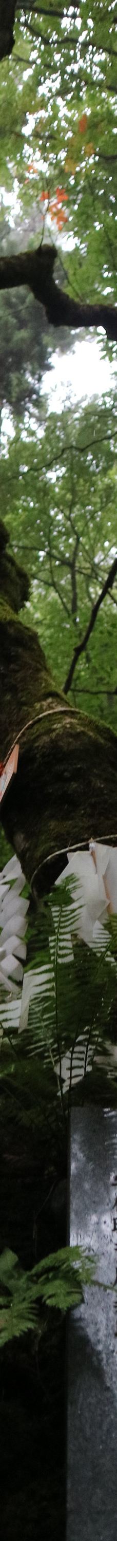 不动瀑布-八幡平市