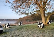 Kunstwanderweg - S. de Bolle "Udder" (2010)景点图片