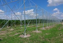 Vườn dưa lưới FagriFarm景点图片