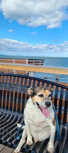 Bayview Park-阿什兰