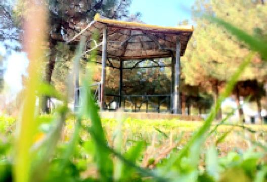 پارک ساحلی آنا景点图片