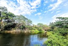 Rio Sapoa景点图片