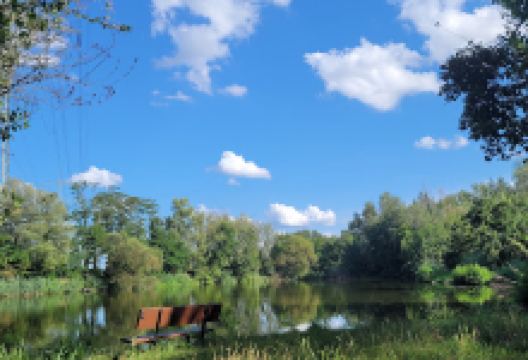 Großer Weiher Riedstadt景点图片