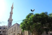 Taha Mosque景点图片