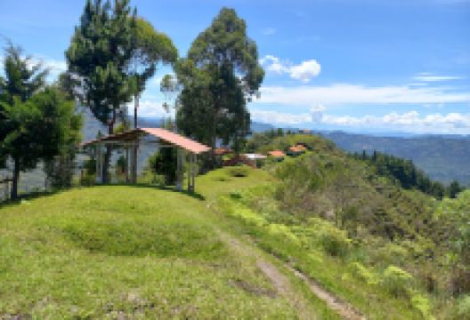 Alto del Aguacate - Parque Arqueológico de Tierradentro景点图片