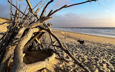 Salinas River State Beach