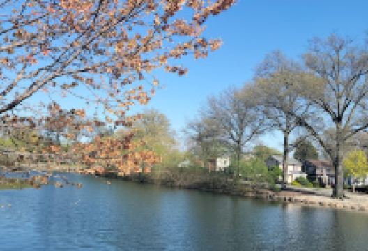 Phelps Park景点图片