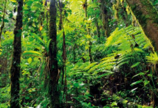 San Felipe El Fuerte Park景点图片