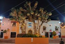 Fuente El caracol景点图片