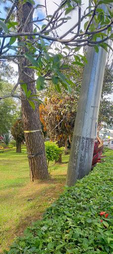 碧瑶日落公园-碧瑶