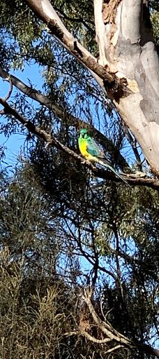 Lakes edge adventure playground-汉密尔顿