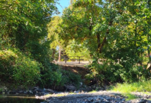 Dallas City Park景点图片