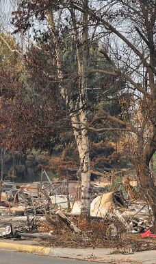 Colver Road Park-菲尼克斯