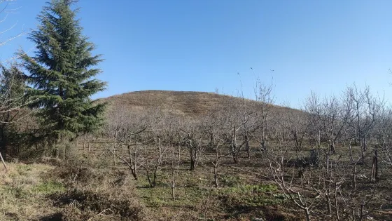 竇皇后陵